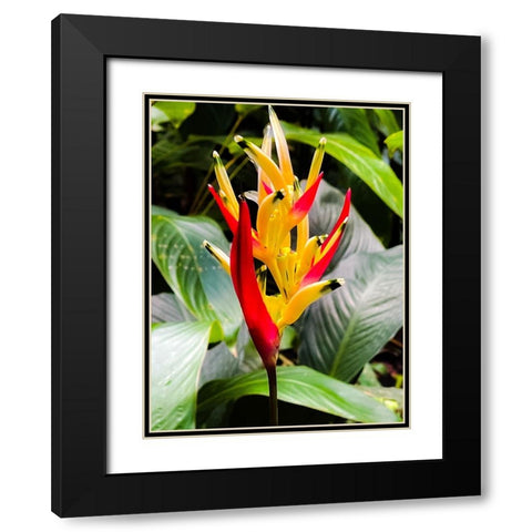 Reach for the Light Black Modern Wood Framed Art Print with Double Matting by Nebula, Melissa