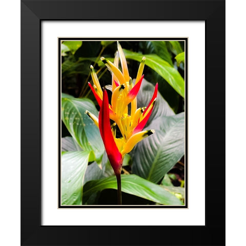 Reach for the Light Black Modern Wood Framed Art Print with Double Matting by Nebula, Melissa