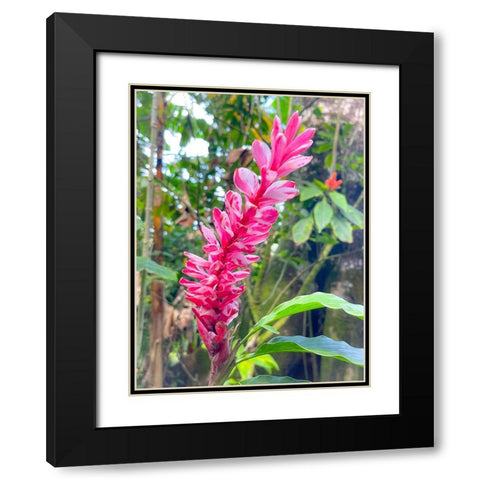 Ginger Stretch Black Modern Wood Framed Art Print with Double Matting by Nebula, Melissa