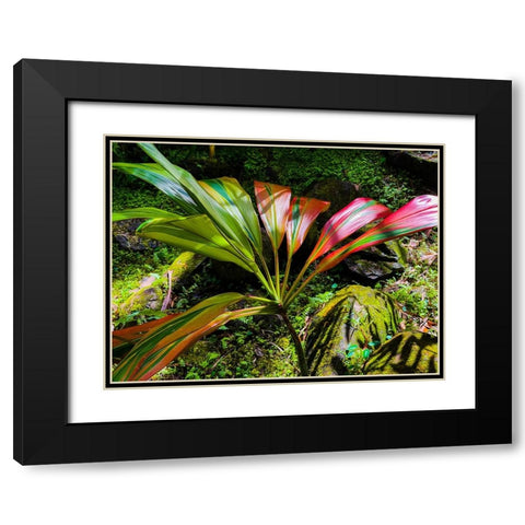 Striped Ti Black Modern Wood Framed Art Print with Double Matting by Nebula, Melissa
