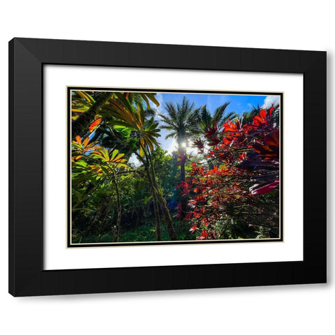 Tropical Melange Black Modern Wood Framed Art Print with Double Matting by Nebula, Melissa