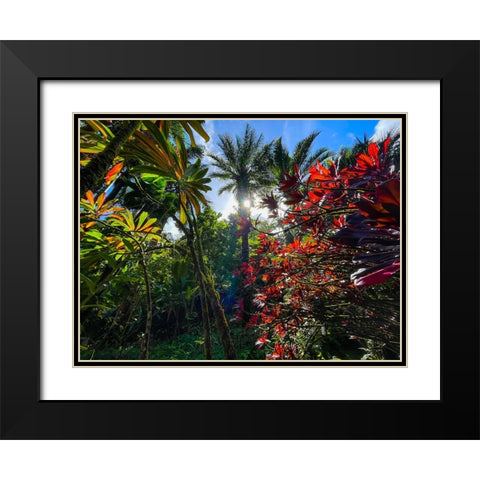 Tropical Melange Black Modern Wood Framed Art Print with Double Matting by Nebula, Melissa