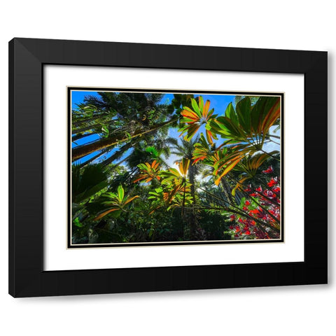 Tropical Understory Black Modern Wood Framed Art Print with Double Matting by Nebula, Melissa