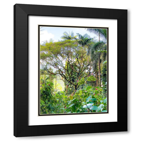 Botanical Junglescape Black Modern Wood Framed Art Print with Double Matting by Nebula, Melissa