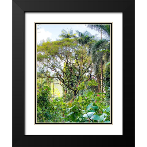 Botanical Junglescape Black Modern Wood Framed Art Print with Double Matting by Nebula, Melissa