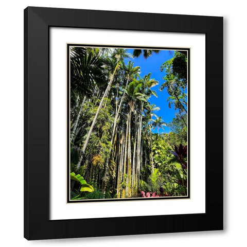 Reaching Palms Black Modern Wood Framed Art Print with Double Matting by Nebula, Melissa