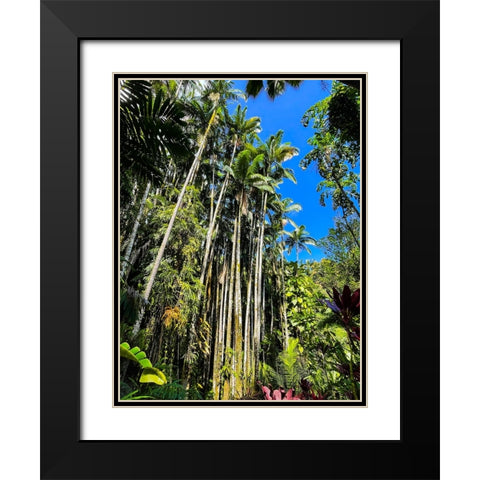 Reaching Palms Black Modern Wood Framed Art Print with Double Matting by Nebula, Melissa