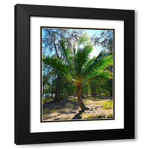 Palm 2 Black Modern Wood Framed Art Print with Double Matting by Nebula, Melissa