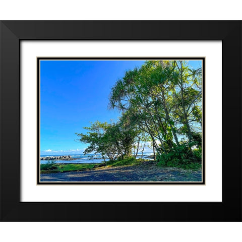 Hilo Shade Black Modern Wood Framed Art Print with Double Matting by Nebula, Melissa