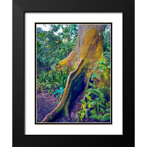 Walking Tree Black Modern Wood Framed Art Print with Double Matting by Nebula, Melissa
