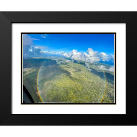 Full Circle Birds Eye Black Modern Wood Framed Art Print with Double Matting by Nebula, Melissa