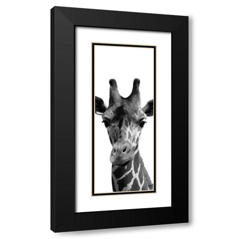 Thoughtful Giraffe Black Modern Wood Framed Art Print with Double Matting by Prime, Marcus