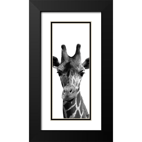 Thoughtful Giraffe Black Modern Wood Framed Art Print with Double Matting by Prime, Marcus