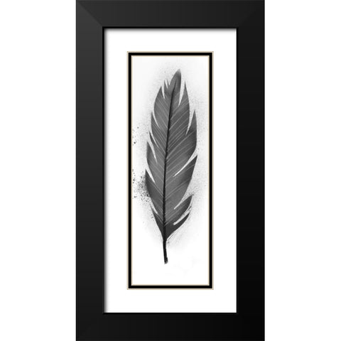 Wonder Feather 1 Black Modern Wood Framed Art Print with Double Matting by Prime, Marcus