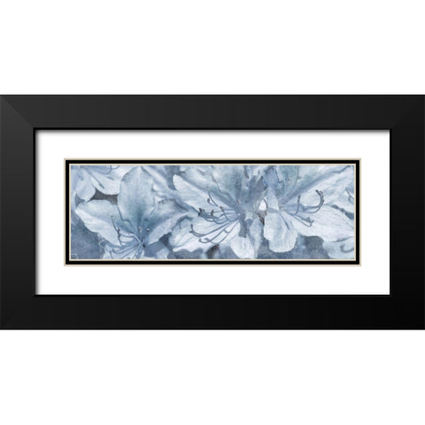 Simple Desires 2 Black Modern Wood Framed Art Print with Double Matting by Prime, Marcus