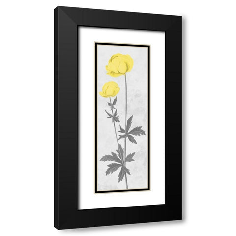 Shinning Bloom Black Modern Wood Framed Art Print with Double Matting by Prime, Marcus