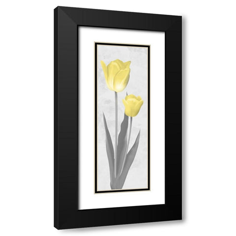 Shinning Bloom 2 Black Modern Wood Framed Art Print with Double Matting by Prime, Marcus
