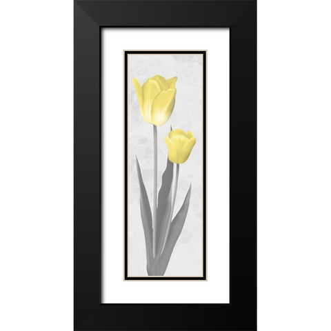 Shinning Bloom 2 Black Modern Wood Framed Art Print with Double Matting by Prime, Marcus