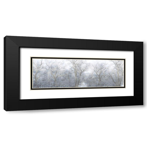 Mysterious Forest Black Modern Wood Framed Art Print with Double Matting by Prime, Marcus