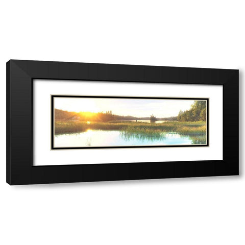 Sunny Marsh 2 Black Modern Wood Framed Art Print with Double Matting by Prime, Marcus