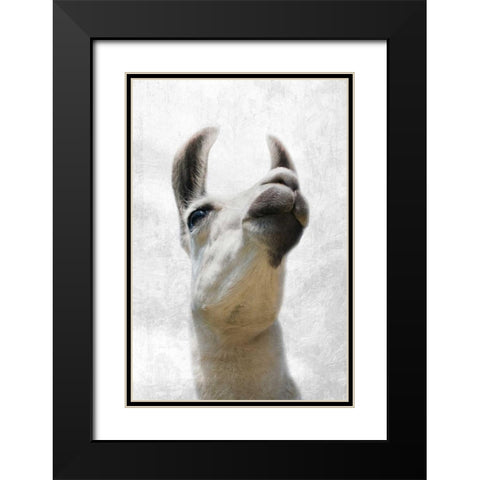 Pondering Lama Black Modern Wood Framed Art Print with Double Matting by Prime, Marcus