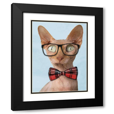 Sophisticated Sphynx Black Modern Wood Framed Art Print with Double Matting by Prime, Marcus