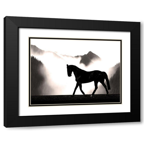 Wandering Horse Black Modern Wood Framed Art Print with Double Matting by Prime, Marcus