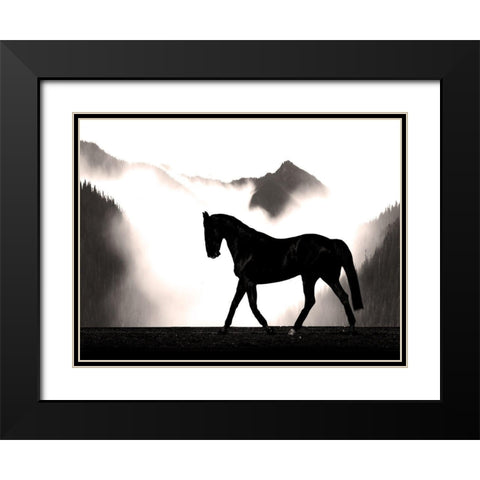 Wandering Horse Black Modern Wood Framed Art Print with Double Matting by Prime, Marcus