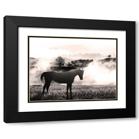 Wandering Horse 2 Black Modern Wood Framed Art Print with Double Matting by Prime, Marcus