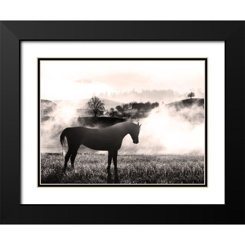 Wandering Horse 2 Black Modern Wood Framed Art Print with Double Matting by Prime, Marcus