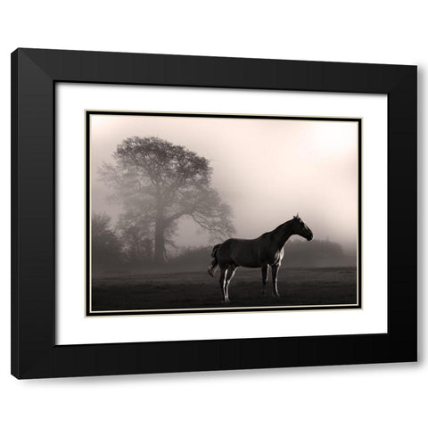 Wandering Horse 3 Black Modern Wood Framed Art Print with Double Matting by Prime, Marcus
