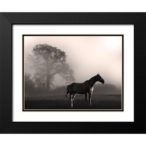 Wandering Horse 3 Black Modern Wood Framed Art Print with Double Matting by Prime, Marcus