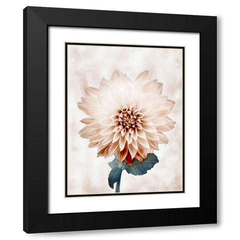 Desired Growth Black Modern Wood Framed Art Print with Double Matting by Prime, Marcus