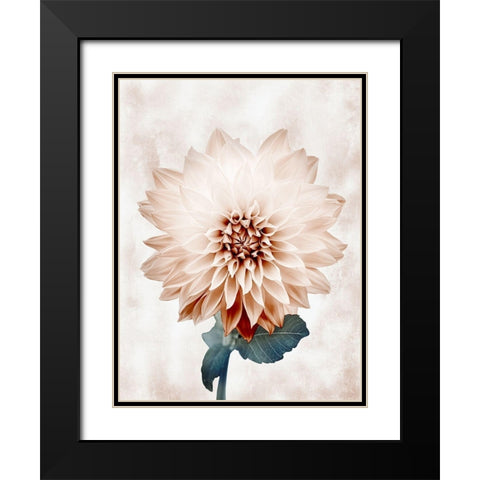 Desired Growth Black Modern Wood Framed Art Print with Double Matting by Prime, Marcus