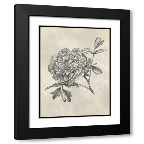 Muted Floral Sketches 1 Black Modern Wood Framed Art Print with Double Matting by Prime, Marcus