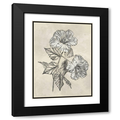 Muted Floral Sketches 2 Black Modern Wood Framed Art Print with Double Matting by Prime, Marcus
