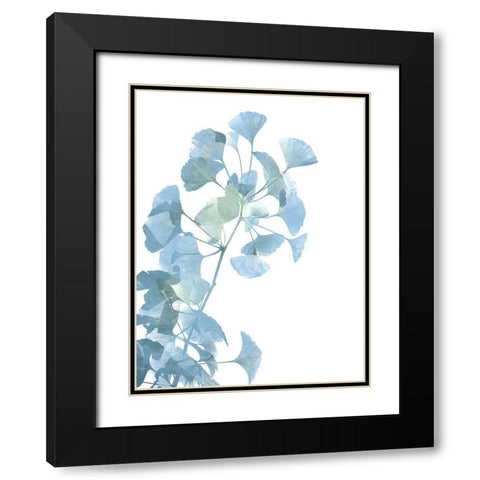 Ginko Life 1 Black Modern Wood Framed Art Print with Double Matting by Prime, Marcus