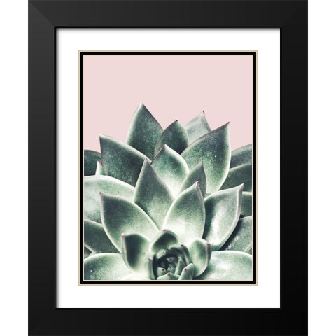 Succulent Queen Black Modern Wood Framed Art Print with Double Matting by Prime, Marcus