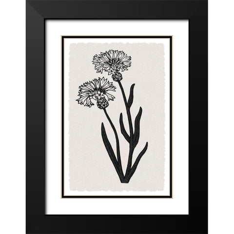 Rural Florals Black Modern Wood Framed Art Print with Double Matting by Prime, Marcus
