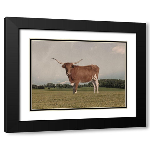 Desolate Steer Black Modern Wood Framed Art Print with Double Matting by Prime, Marcus