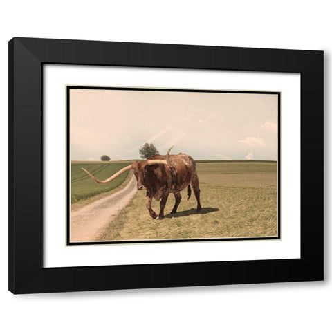 Desolate Steer 2 Black Modern Wood Framed Art Print with Double Matting by Prime, Marcus