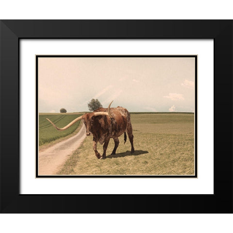 Desolate Steer 2 Black Modern Wood Framed Art Print with Double Matting by Prime, Marcus