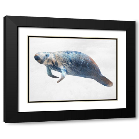 Swimming Manatee Black Modern Wood Framed Art Print with Double Matting by Prime, Marcus