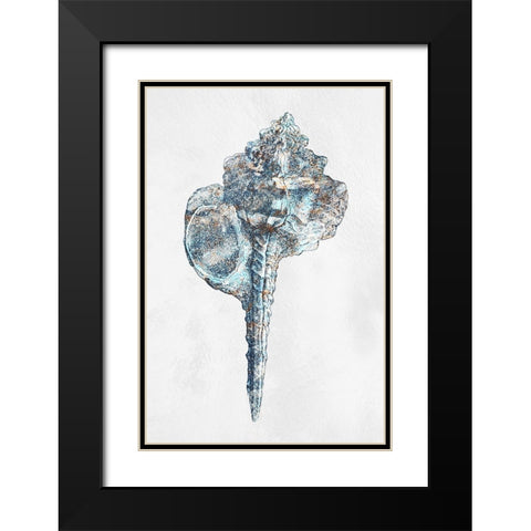 Urban Sea Shell 1 Black Modern Wood Framed Art Print with Double Matting by Prime, Marcus
