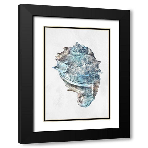Urban Sea Shell 2 Black Modern Wood Framed Art Print with Double Matting by Prime, Marcus