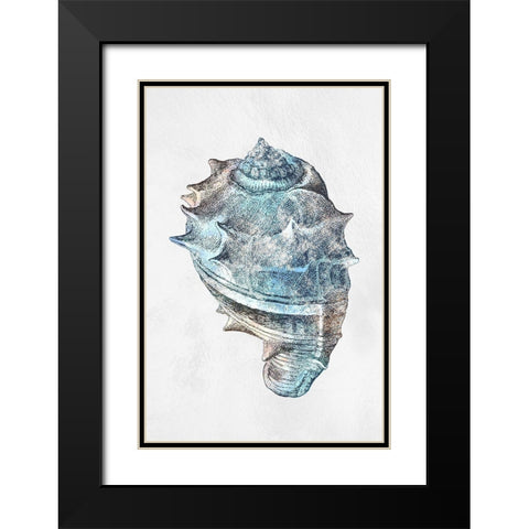 Urban Sea Shell 2 Black Modern Wood Framed Art Print with Double Matting by Prime, Marcus