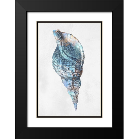Urban Sea Shell 3 Black Modern Wood Framed Art Print with Double Matting by Prime, Marcus