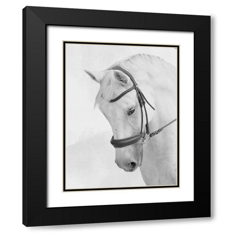 Praying Steed Black Modern Wood Framed Art Print with Double Matting by Prime, Marcus
