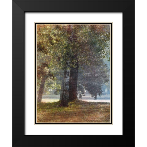 Fall Stroll 2 Black Modern Wood Framed Art Print with Double Matting by Prime, Marcus