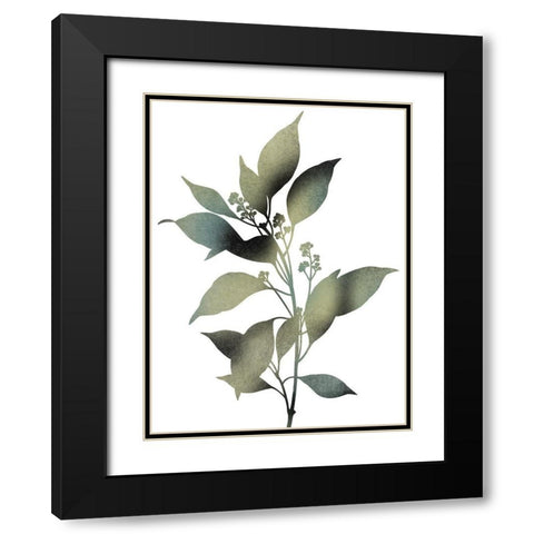 Morphism Of Dreams 1 Black Modern Wood Framed Art Print with Double Matting by Prime, Marcus